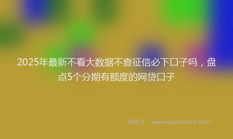 2025年最新不看大数据不查征信必下口子吗，盘点5个分期有额度的网贷口子