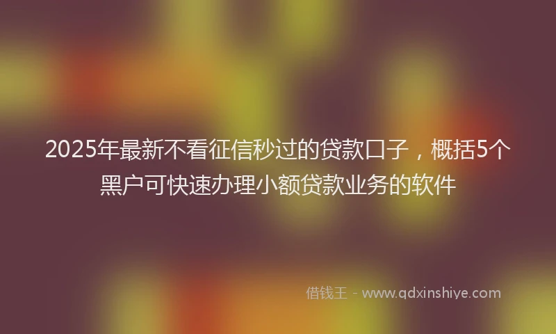 2025年最新不看征信秒过的贷款口子，概括5个黑户可快速办理小额贷款业务的软件