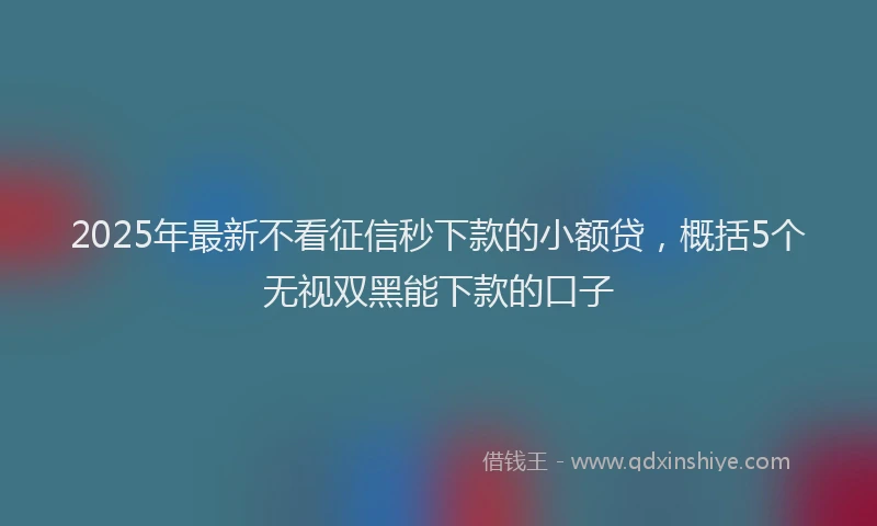 2025年最新不看征信秒下款的小额贷，概括5个无视双黑能下款的口子