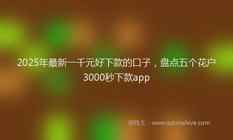 2025年最新一千元好下款的口子，盘点五个花户3000秒下款app
