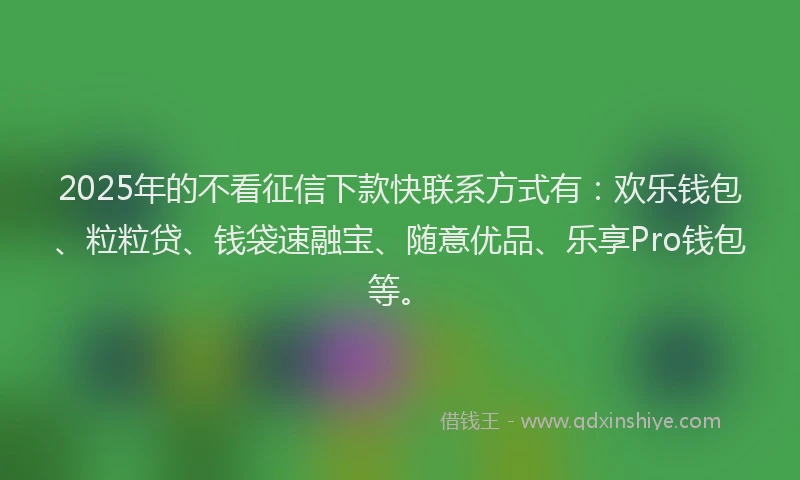 2025年的不看征信下款快联系方式有：欢乐钱包、粒粒贷、钱袋速融宝、随意优品、乐享Pro钱包等。
