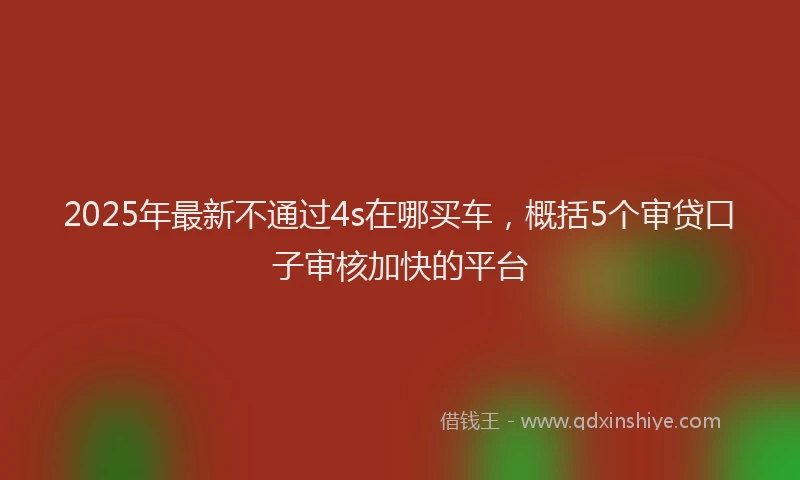 2025年最新不通过4s在哪买车，概括5个审贷口子审核加快的平台