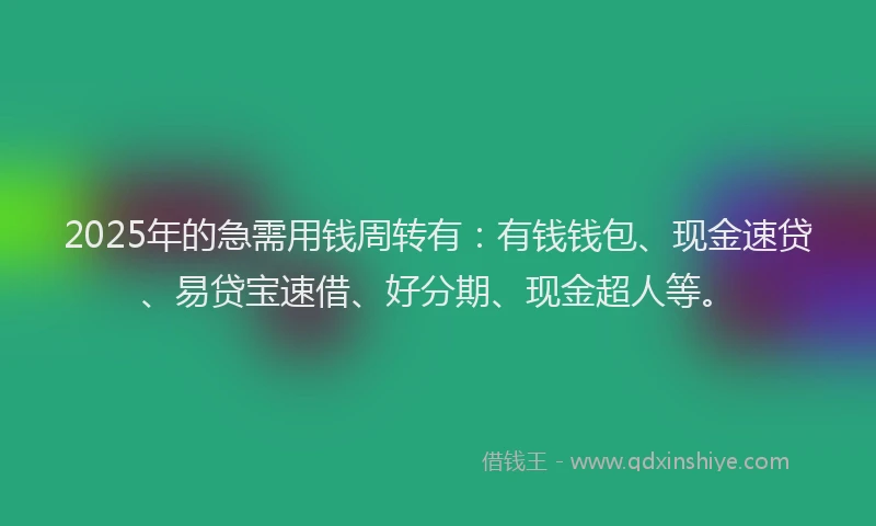 2025年的急需用钱周转有：有钱钱包、现金速贷、易贷宝速借、好分期、现金超人等。
