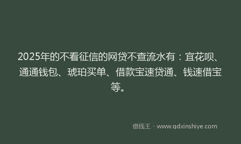 2025年的不看征信的网贷不查流水有：宜花呗、通通钱包、琥珀买单、借款宝速贷通、钱速借宝等。