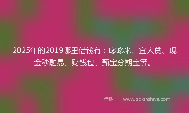 2025年的2019哪里借钱有：哆哆米、宜人贷、现金秒融易、财钱包、甄宝分期宝等。