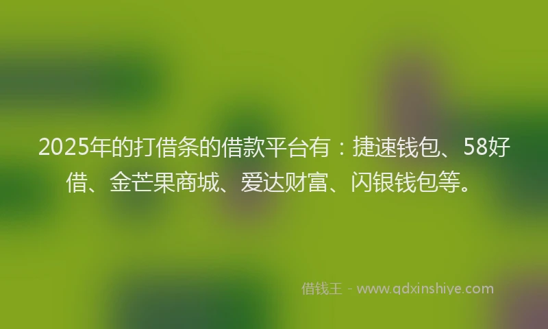 2025年的打借条的借款平台有：捷速钱包、58好借、金芒果商城、爱达财富、闪银钱包等。