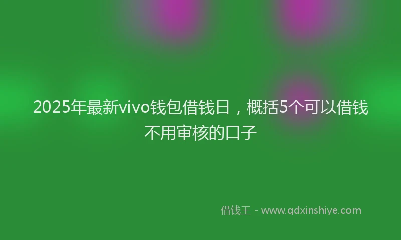 2025年最新vivo钱包借钱日，概括5个可以借钱不用审核的口子
