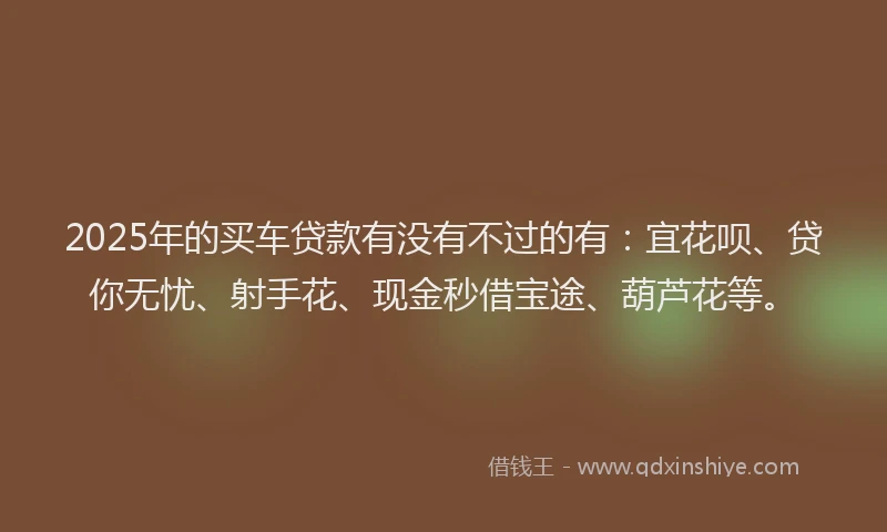 2025年的买车贷款有没有不过的有：宜花呗、贷你无忧、射手花、现金秒借宝途、葫芦花等。