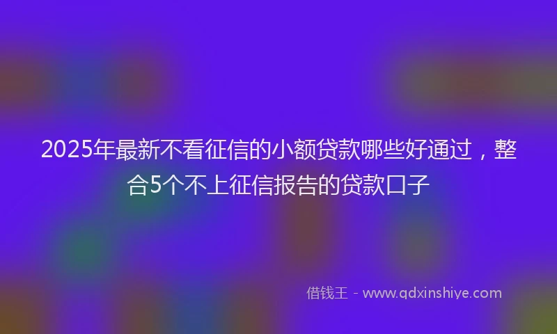 2025年最新不看征信的小额贷款哪些好通过，整合5个不上征信报告的贷款口子