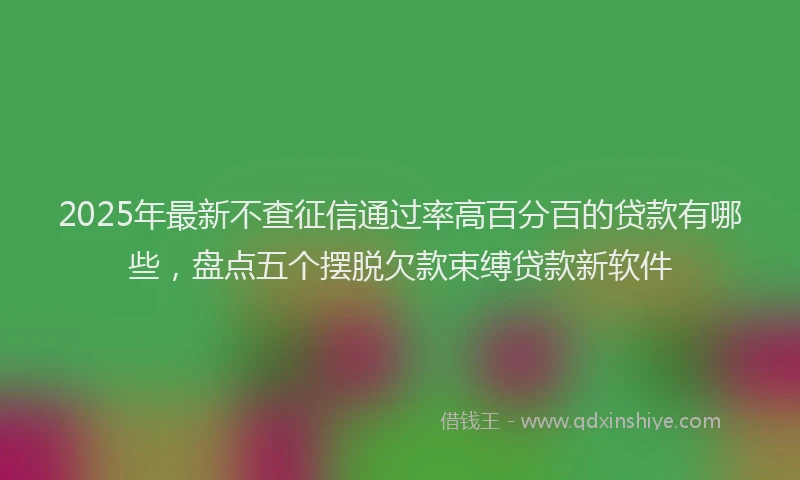 2025年最新不查征信通过率高百分百的贷款有哪些，盘点五个摆脱欠款束缚贷款新软件