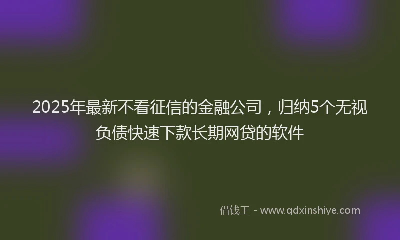 2025年最新不看征信的金融公司，归纳5个无视负债快速下款长期网贷的软件