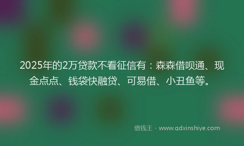 2025年的2万贷款不看征信有：森森借呗通、现金点点、钱袋快融贷、可易借、小丑鱼等。