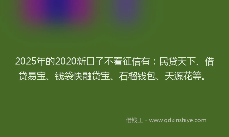 2025年的2020新口子不看征信有：民贷天下、借贷易宝、钱袋快融贷宝、石榴钱包、天源花等。