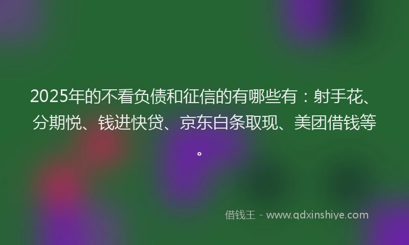 2025年的不看负债和征信的有哪些有：射手花、分期悦、钱进快贷、京东白条取现、美团借钱等。
