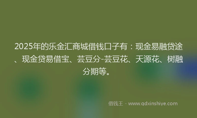 2025年的乐金汇商城借钱口子有：现金易融贷途、现金贷易借宝、芸豆分-芸豆花、天源花、树融分期等。