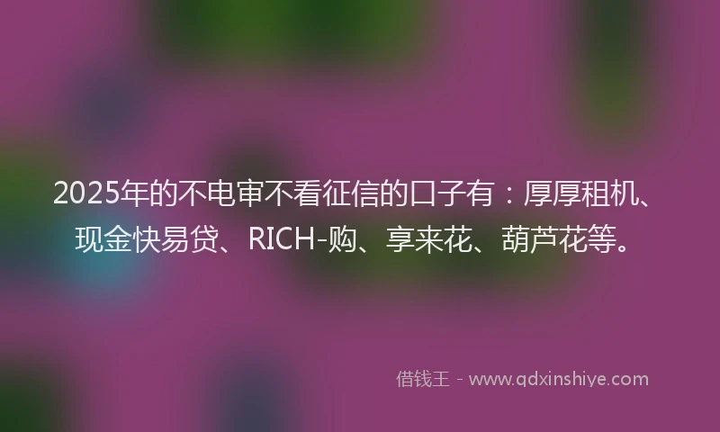 2025年的不电审不看征信的口子有：厚厚租机、现金快易贷、RICH-购、享来花、葫芦花等。