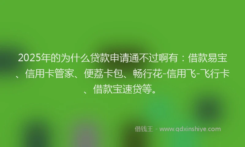 2025年的为什么贷款申请通不过啊有：借款易宝、信用卡管家、便荔卡包、畅行花-信用飞-飞行卡、借款宝速贷等。