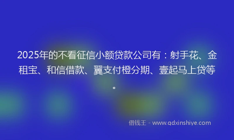 2025年的不看征信小额贷款公司有：射手花、金租宝、和信借款、翼支付橙分期、壹起马上贷等。