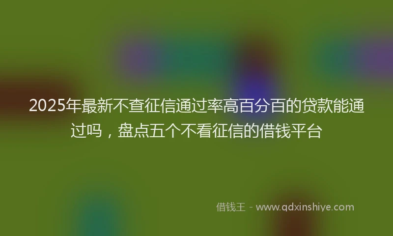 2025年最新不查征信通过率高百分百的贷款能通过吗，盘点五个不看征信的借钱平台