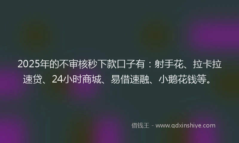 2025年的不审核秒下款口子有：射手花、拉卡拉速贷、24小时商城、易借速融、小鹅花钱等。