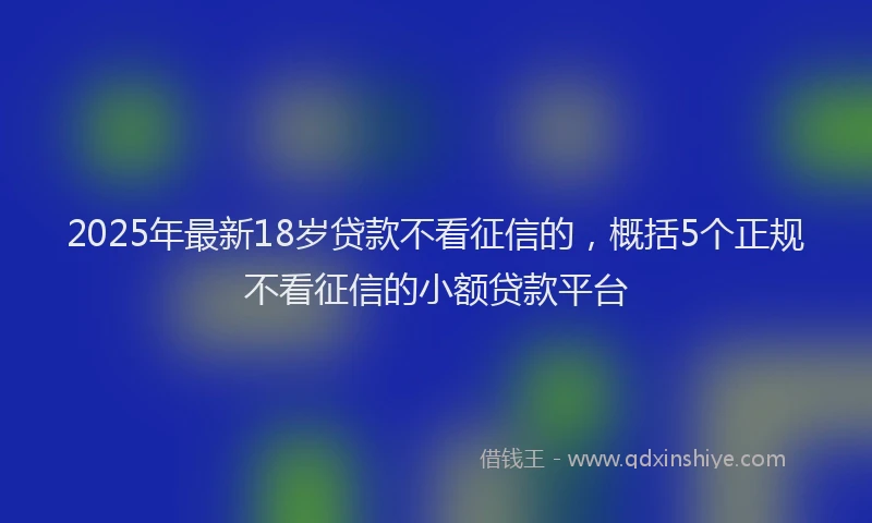 2025年最新18岁贷款不看征信的，概括5个正规不看征信的小额贷款平台