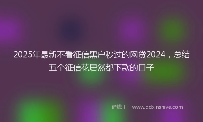2025年最新不看征信黑户秒过的网贷2024，总结五个征信花居然都下款的口子