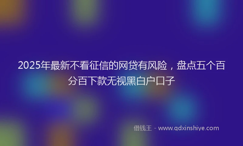 2025年最新不看征信的网贷有风险，盘点五个百分百下款无视黑白户口子