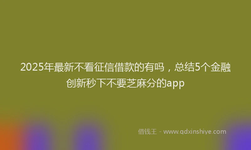 2025年最新不看征信借款的有吗，总结5个金融创新秒下不要芝麻分的app