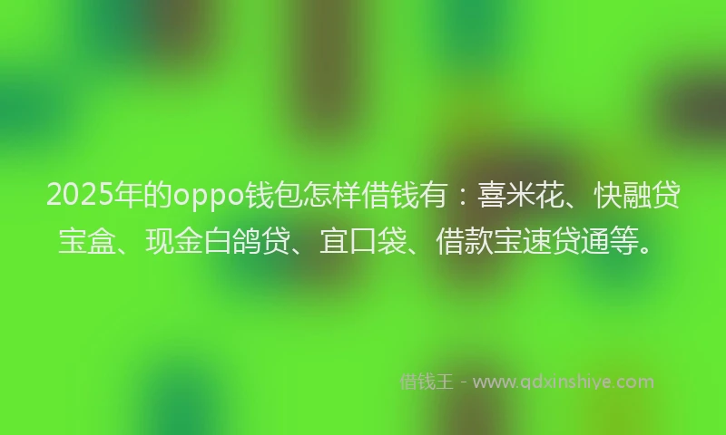 2025年的oppo钱包怎样借钱有：喜米花、快融贷宝盒、现金白鸽贷、宜口袋、借款宝速贷通等。