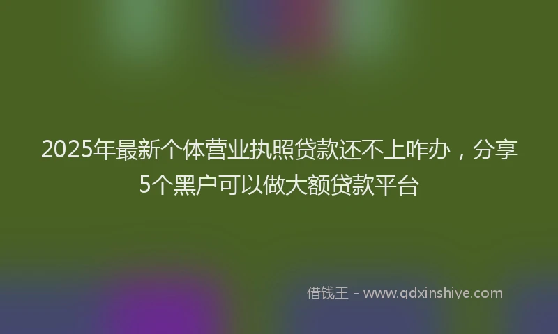 2025年最新个体营业执照贷款还不上咋办，分享5个黑户可以做大额贷款平台