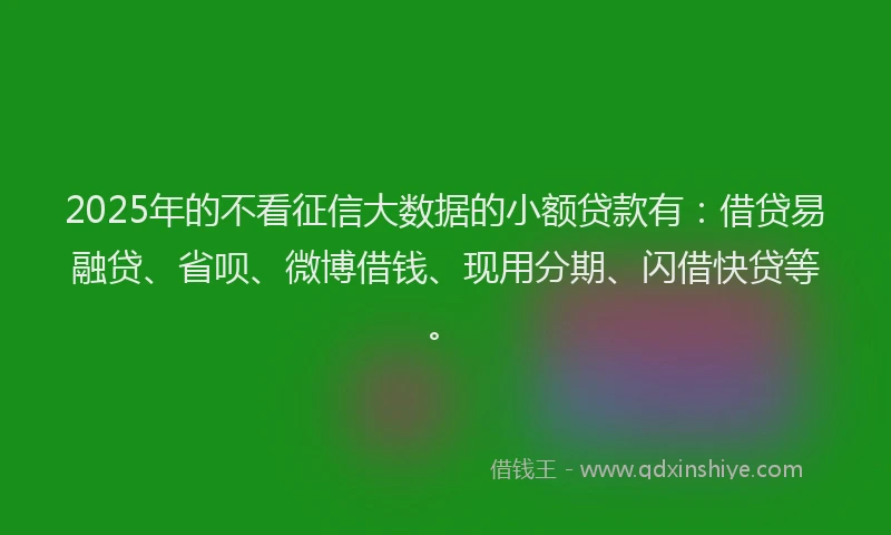 2025年的不看征信大数据的小额贷款有：借贷易融贷、省呗、微博借钱、现用分期、闪借快贷等。