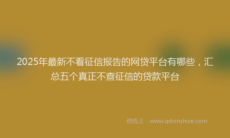 2025年最新不看征信报告的网贷平台有哪些，汇总五个真正不查征信的贷款平台