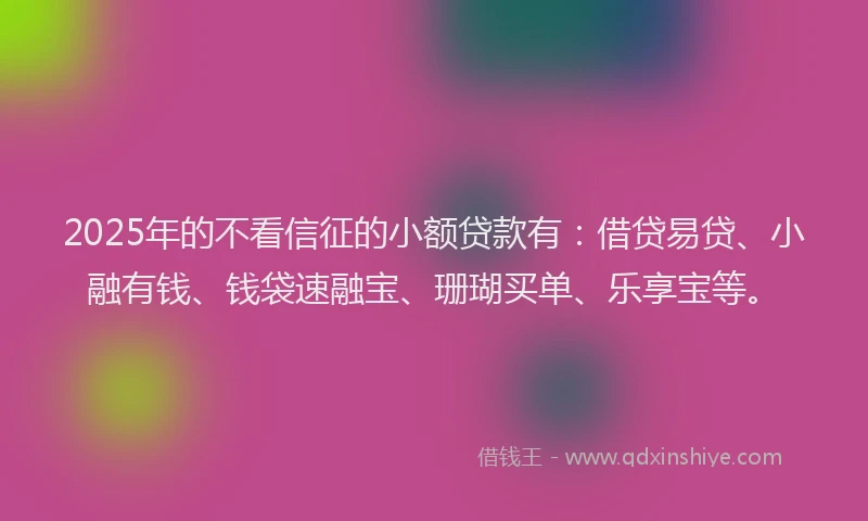 2025年的不看信征的小额贷款有：借贷易贷、小融有钱、钱袋速融宝、珊瑚买单、乐享宝等。
