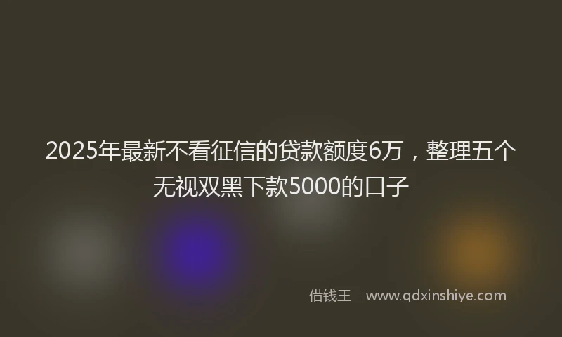 2025年最新不看征信的贷款额度6万，整理五个无视双黑下款5000的口子
