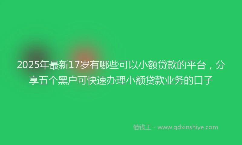 2025年最新17岁有哪些可以小额贷款的平台，分享五个黑户可快速办理小额贷款业务的口子
