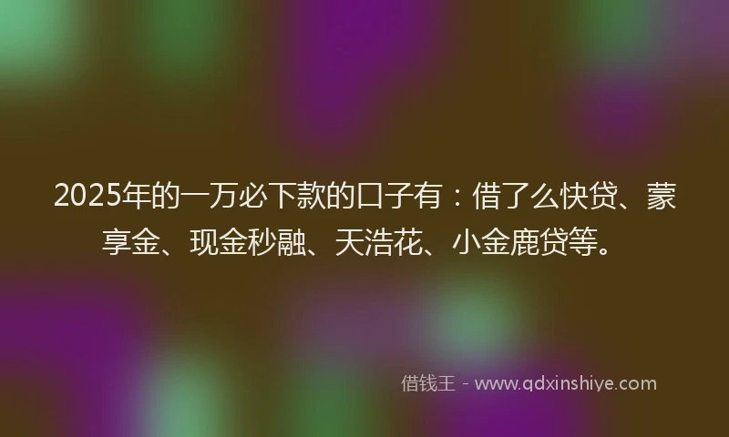 2025年的一万必下款的口子有：借了么快贷、蒙享金、现金秒融、天浩花、小金鹿贷等。