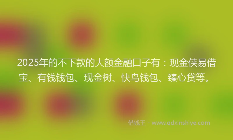 2025年的不下款的大额金融口子有：现金侠易借宝、有钱钱包、现金树、快鸟钱包、臻心贷等。