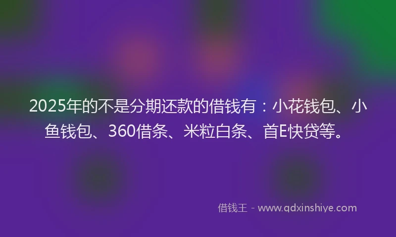 2025年的不是分期还款的借钱有：小花钱包、小鱼钱包、360借条、米粒白条、首E快贷等。