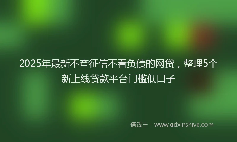 2025年最新不查征信不看负债的网贷，整理5个新上线贷款平台门槛低口子