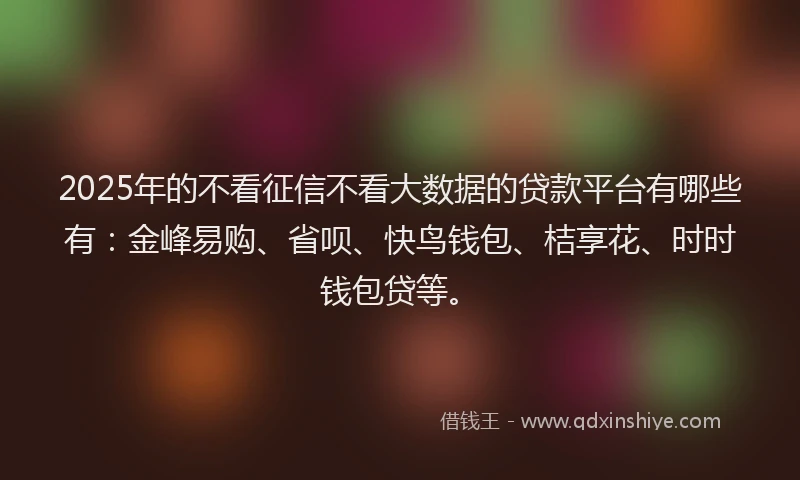 2025年的不看征信不看大数据的贷款平台有哪些有：金峰易购、省呗、快鸟钱包、桔享花、时时钱包贷等。
