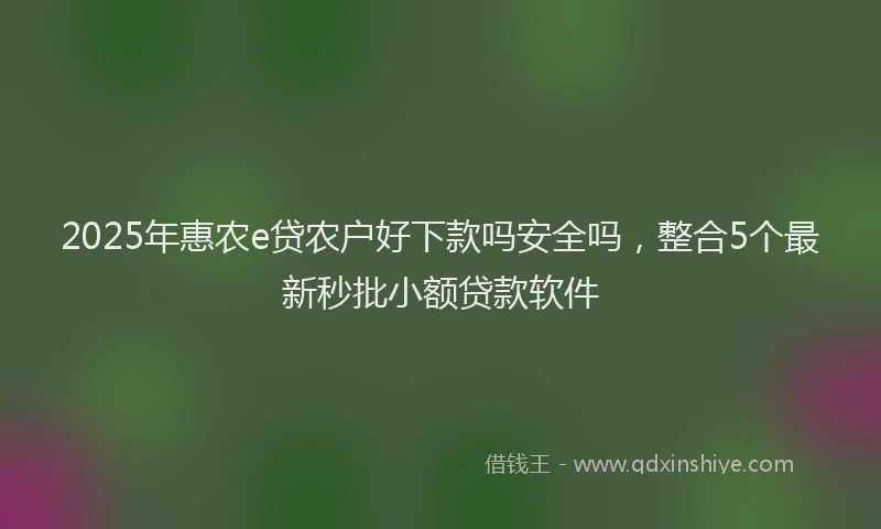 2025年惠农e贷农户好下款吗安全吗，整合5个最新秒批小额贷款软件