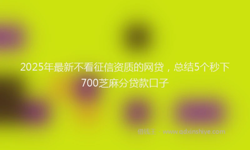 2025年最新不看征信资质的网贷，总结5个秒下700芝麻分贷款口子