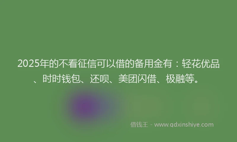 2025年的不看征信可以借的备用金有：轻花优品、时时钱包、还呗、美团闪借、极融等。