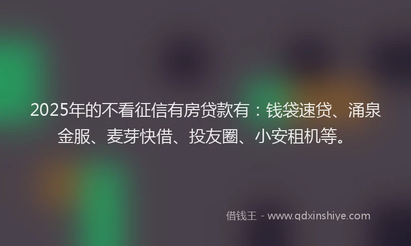 2025年的不看征信有房贷款有：钱袋速贷、涌泉金服、麦芽快借、投友圈、小安租机等。