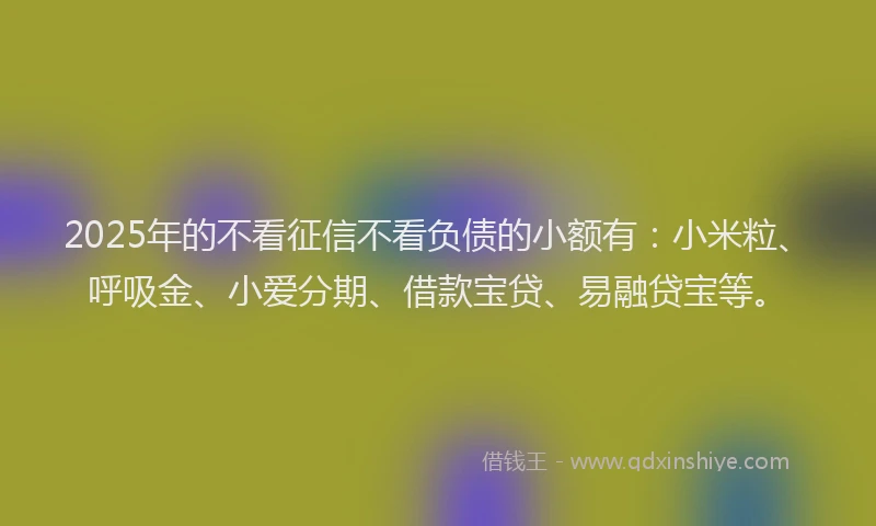 2025年的不看征信不看负债的小额有：小米粒、呼吸金、小爱分期、借款宝贷、易融贷宝等。