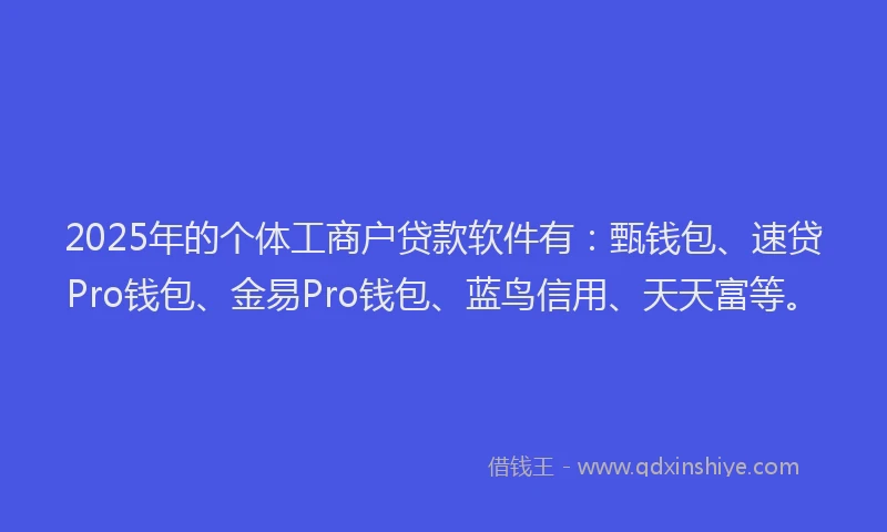 2025年的个体工商户贷款软件有：甄钱包、速贷Pro钱包、金易Pro钱包、蓝鸟信用、天天富等。