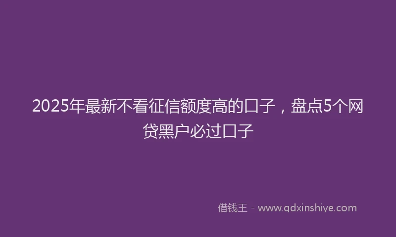 2025年最新不看征信额度高的口子，盘点5个网贷黑户必过口子