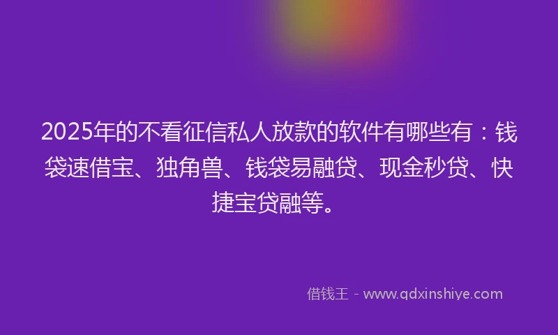 2025年的不看征信私人放款的软件有哪些有：钱袋速借宝、独角兽、钱袋易融贷、现金秒贷、快捷宝贷融等。