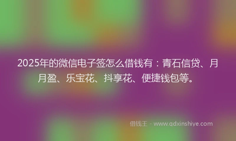 2025年的微信电子签怎么借钱有：青石信贷、月月盈、乐宝花、抖享花、便捷钱包等。