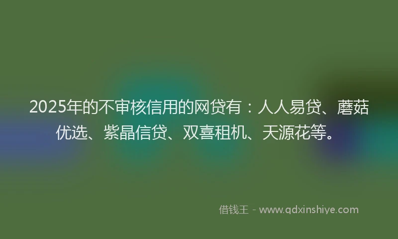 2025年的不审核信用的网贷有：人人易贷、蘑菇优选、紫晶信贷、双喜租机、天源花等。